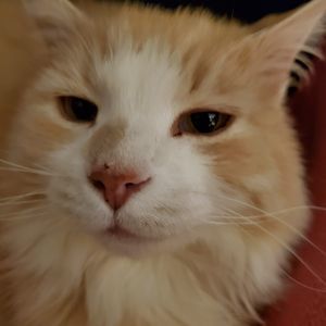 Meet your Posher, Sandy